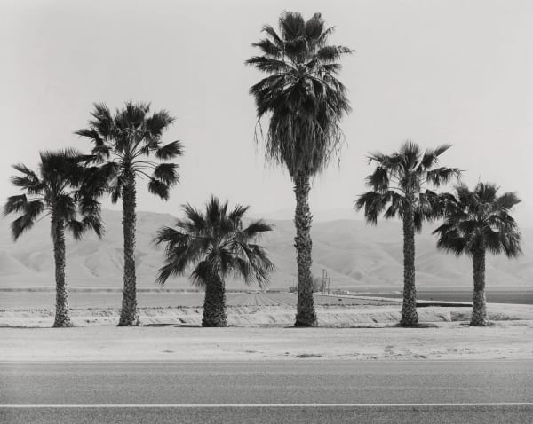 Ryan McIntosh, Six Palms, Nears Taft, CA, 2023