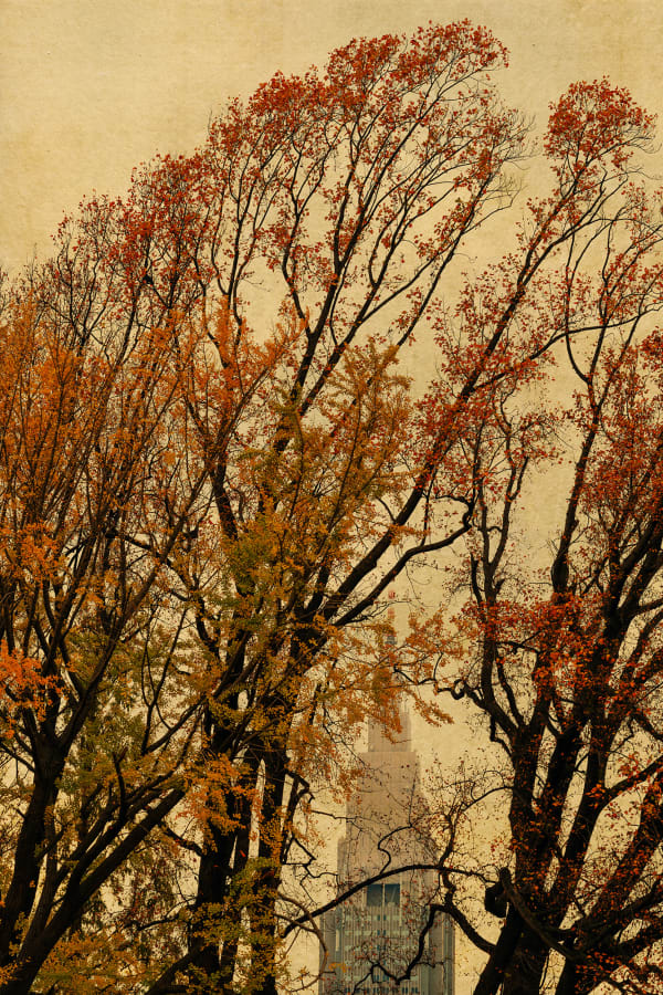 Albarrán Cabrera, The Mouth of Krishna #60235, 2019