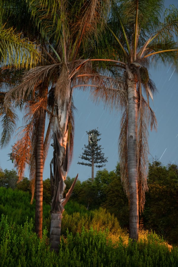 Kaya & Blank, Second Nature #06, 2022