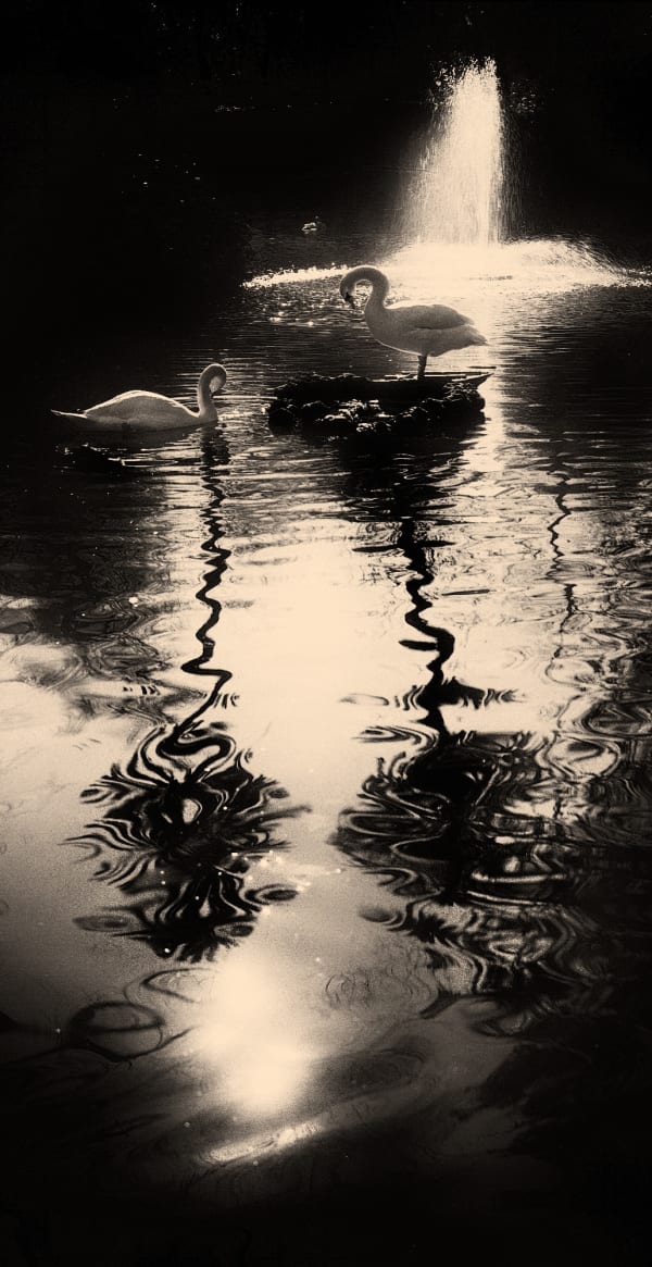 Albarrán Cabrera, The Mouth of Krishna #43, 2012