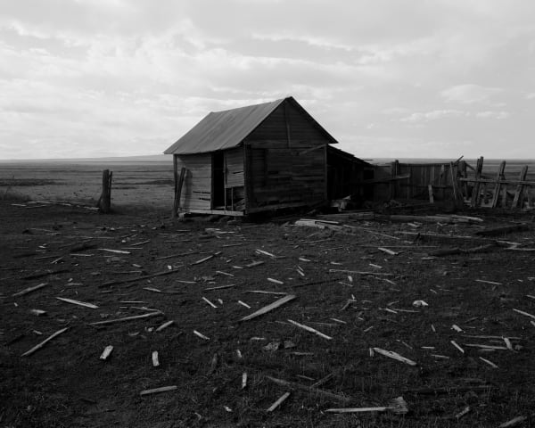 Bryan Schutmaat, Shack, 2017