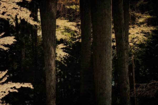 Albarrán Cabrera, The Mouth of Krishna #60764, 2018