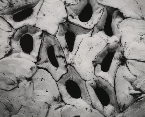 Ryan McIntosh, Abstraction, Tucson, AZ, 2006