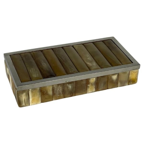Horn and Silver Plated Box