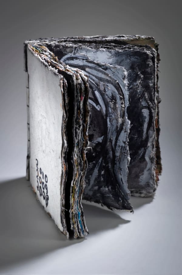 Martine Martine, Carnet II , 2008-2010