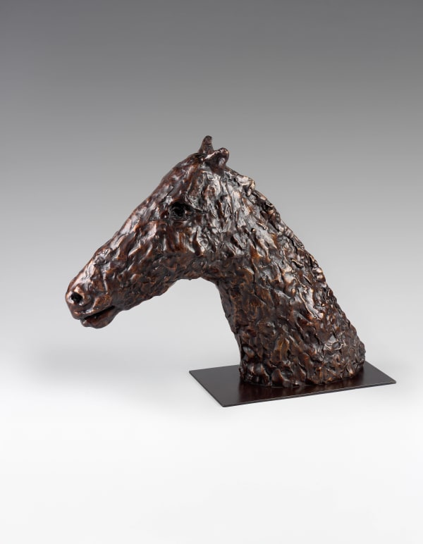 Martine Martine, Tête de cheval, 1997