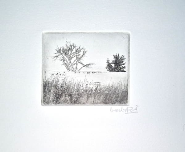 Joan Barbarà, Mur (Publicado en Eivissa), 1949-2008