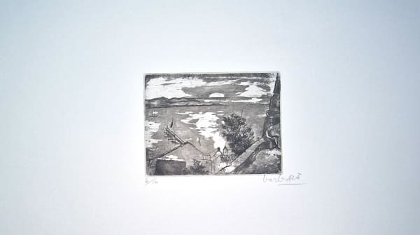 Joan Barbarà, El Port des de Dalt Vila, 1949-2008