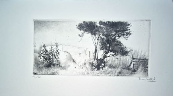 Joan Barbarà, Propses Feixes (Publicado en Eivissa), 1949-2008