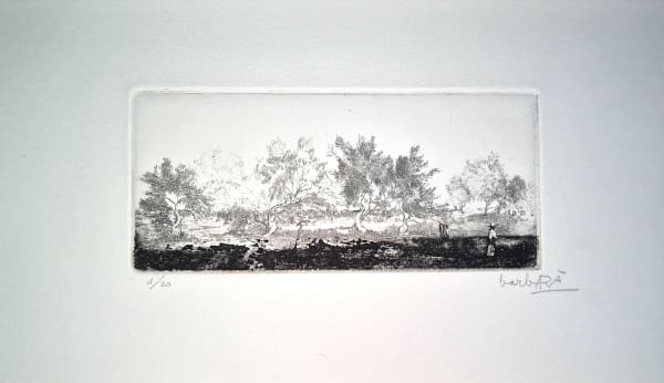 Joan Barbarà, Camí a Pormany, 1949-2008