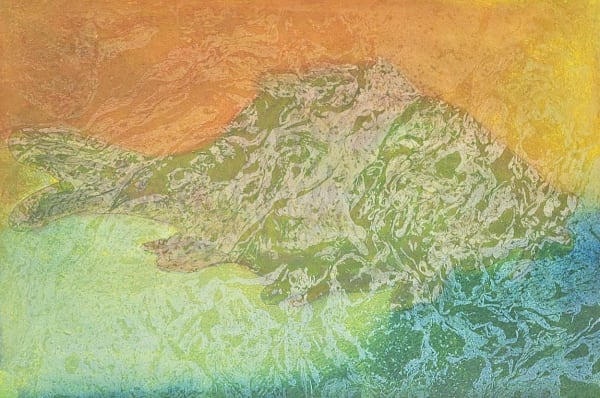 Joan Barbarà, Pez (colorful)