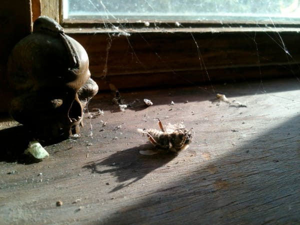 Michel Auder, Untitled #10, 2018