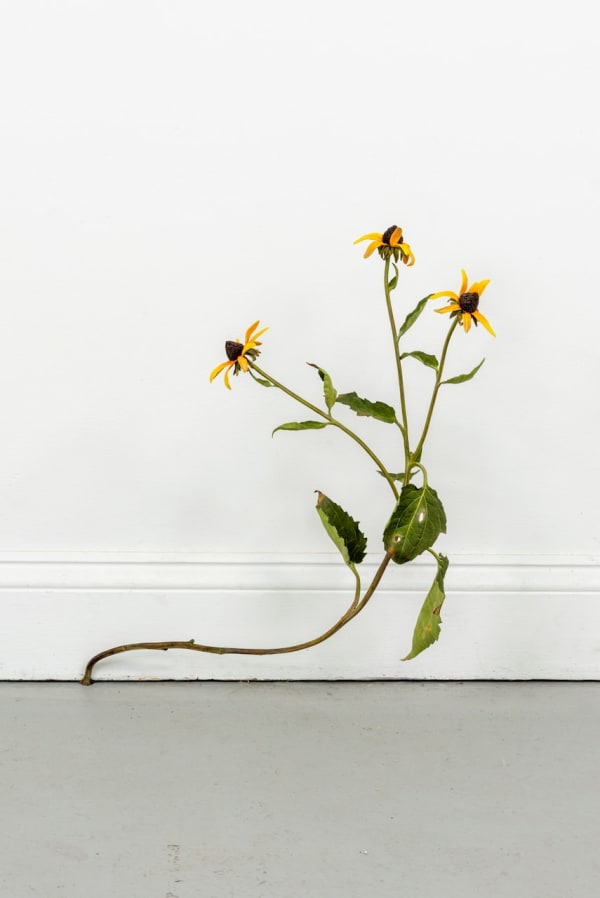 Tony Matelli, 711, 2024