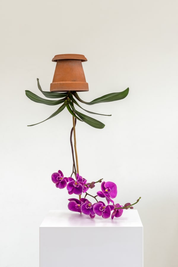 Tony Matelli, Arrangement_593 , 2023