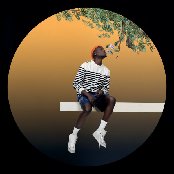 Omar Victor Diop, Allegoria 13, 2021