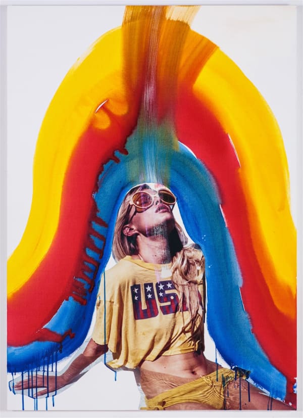 Liz Markus Wildfox USA, 2016 acrylic and collage on canvas 152.4 x 109.22 cm 60 x 43 in