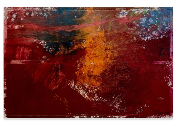 Hermann Nitsch, Schüttbild, 2007