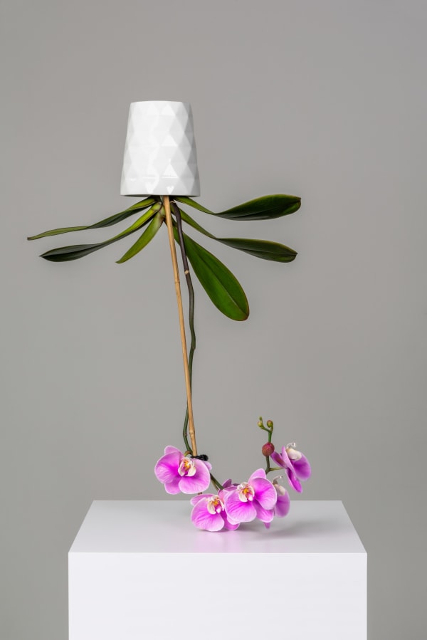 Tony Matelli, Arrangement-TM629, 2025