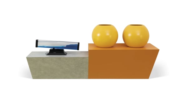 Haim Steinbach, Delightfully Reproduced, 1986