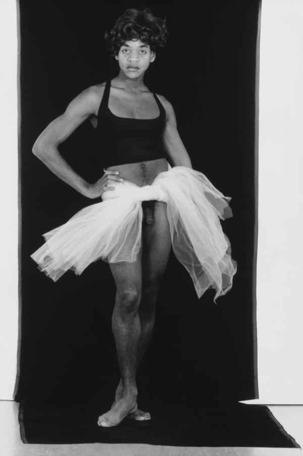 Lyle Ashton Harris, Construct #10 (referenced as Degas), 1989