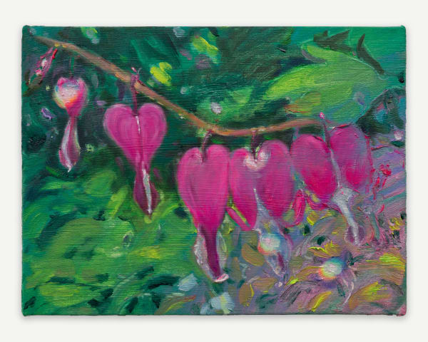 Heather Drayzen, Bleeding Hearts, 2025