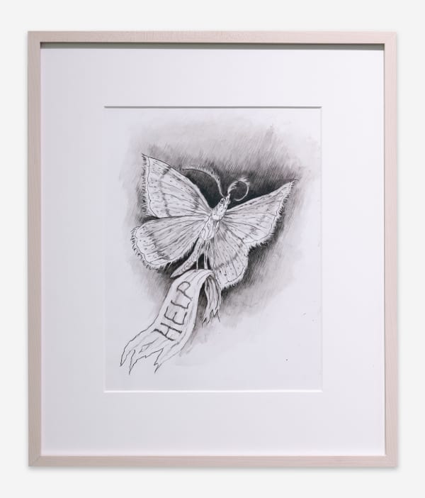 Jude Griebel, Plea, 2025