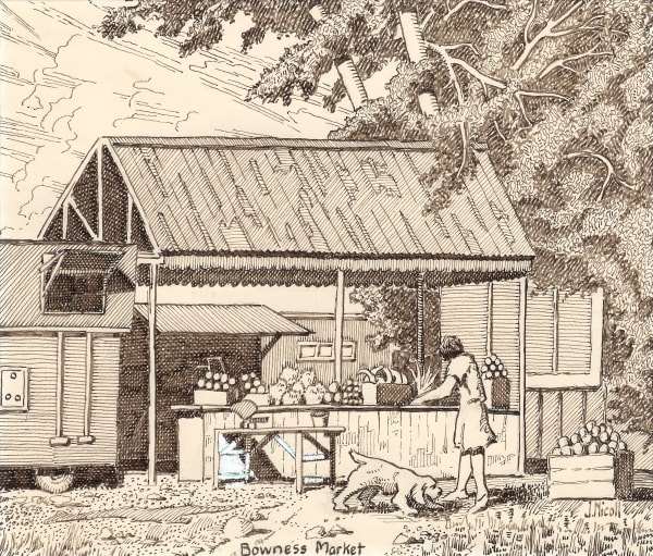 Jim Nicoll, Bowness Market, c. 1950