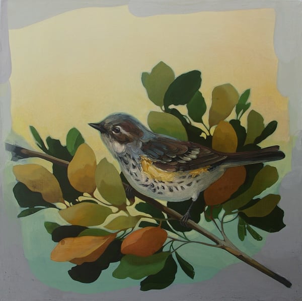 Darrell Underschultz, Songbird Series No. 2