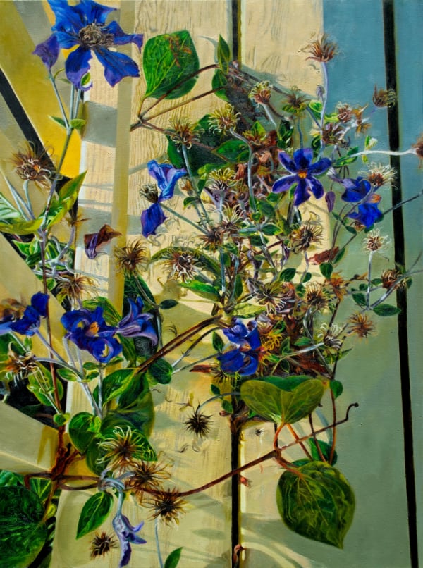 Dulcie Foo Fat, Clematis, 2022