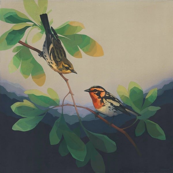 Darrell Underschultz, Songbird Series No. 27