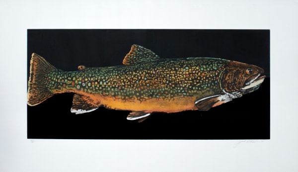 Jack Cowin Brook Trout hand coloured etching, ed. 31 of 60 13x28.5 in.