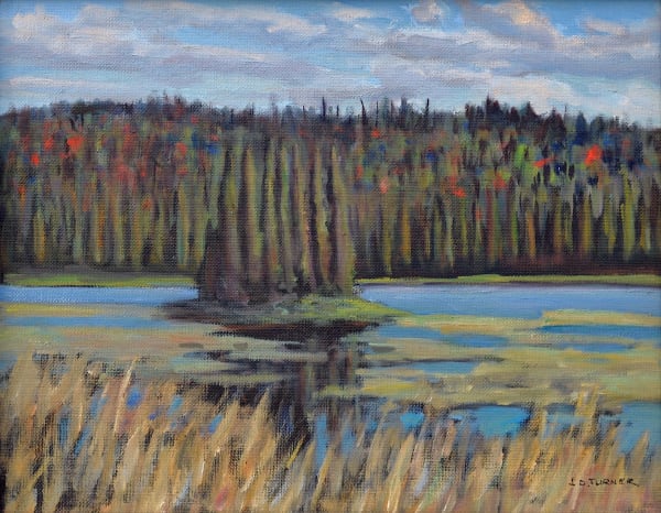 John D. Turner, Reeds in Lake, Rustle Lake, Ontario, 1975