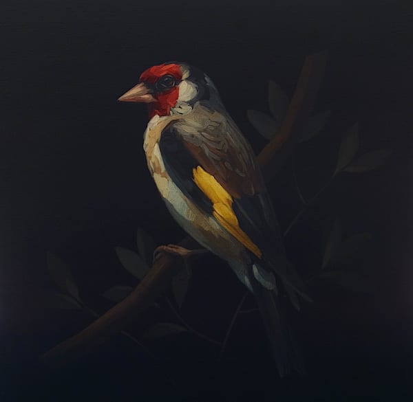 Darrell Underschultz, European Goldfinch