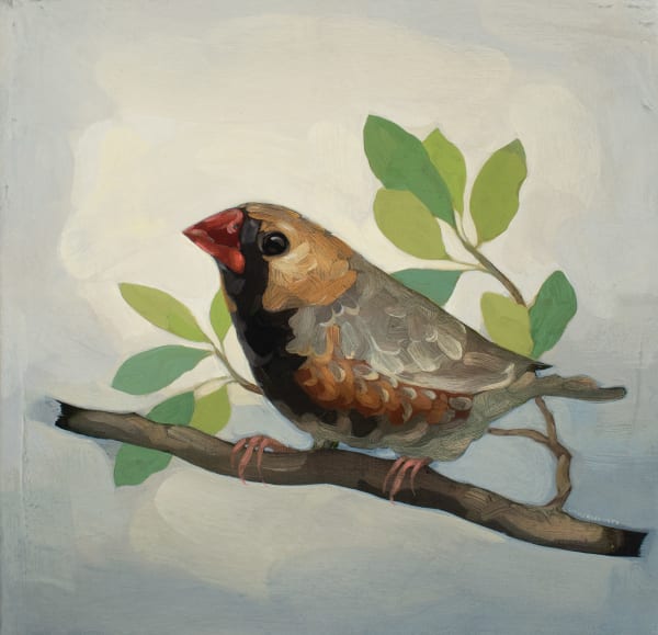 Darrell Underschultz, Little Bird