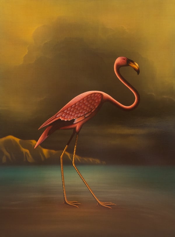 Darrell Underschultz, Scarlet Flamingo