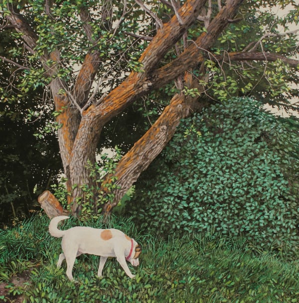 Allan Thomas Coco, 2025 oil on birch panel 30 x 30 in 76.2 x 76.2 cm