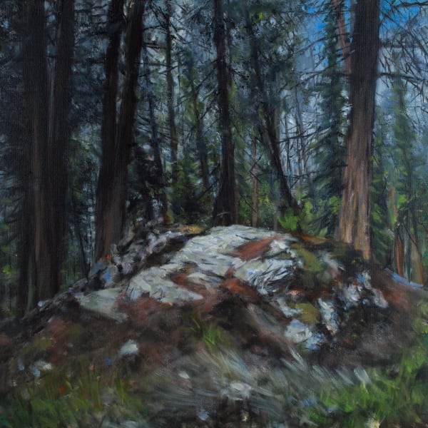 Michael Corner - Rock in Forest, 2024
