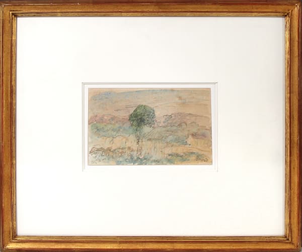 Pierre Bonnard, Saint-Tropez, 1905