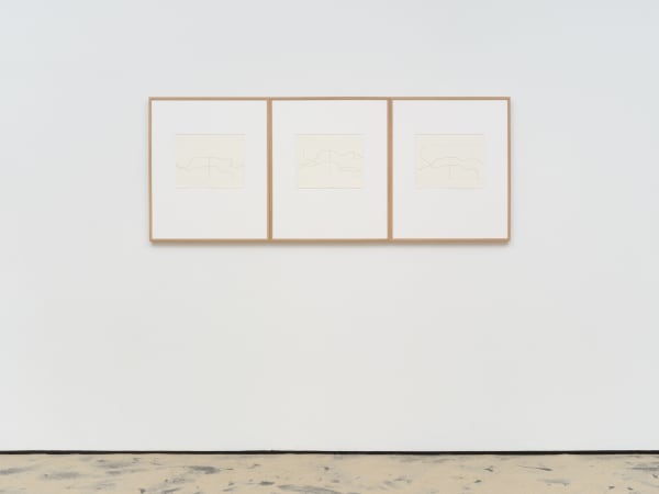 Jürgen Partenheimer, Spectral Void Reframed I, II, III (Houston), 2024