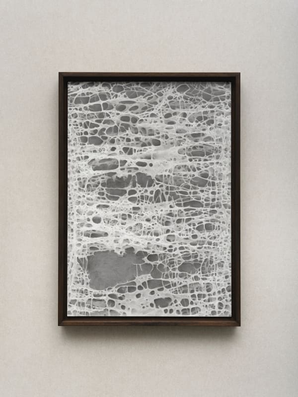 Nicolás Lamas, Bone tissue, 2019