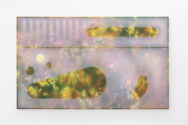 Natacha Donzé, Ghost Gun V, 2024