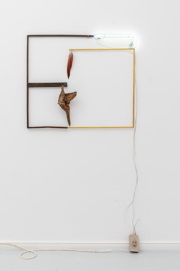 Gabriel Rico, Fauna VI, 2019