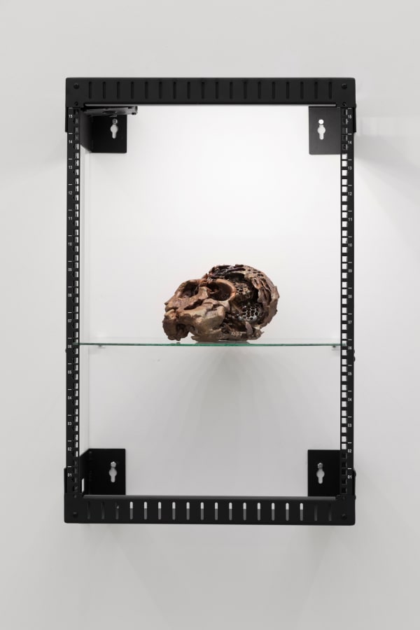 Nicolás Lamas, Collective memory, 2023