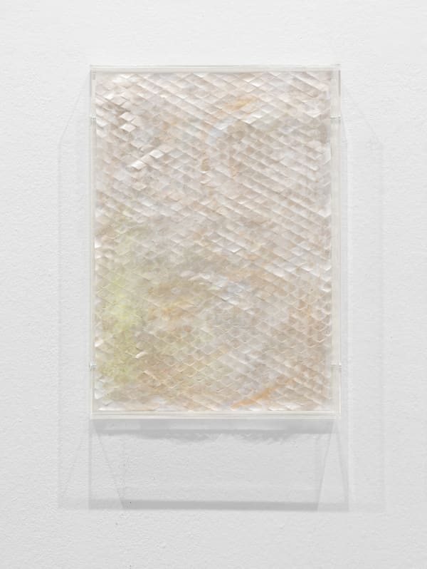 Pamela Rosenkranz, Healer Scrolls (The Orchard), 2024