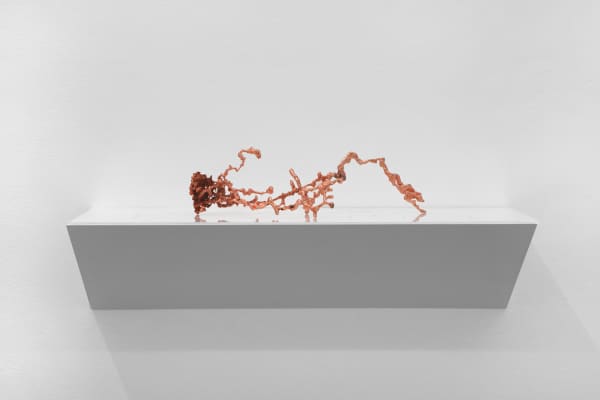 Nicolás Lamas, Spinal cord colony, 2023