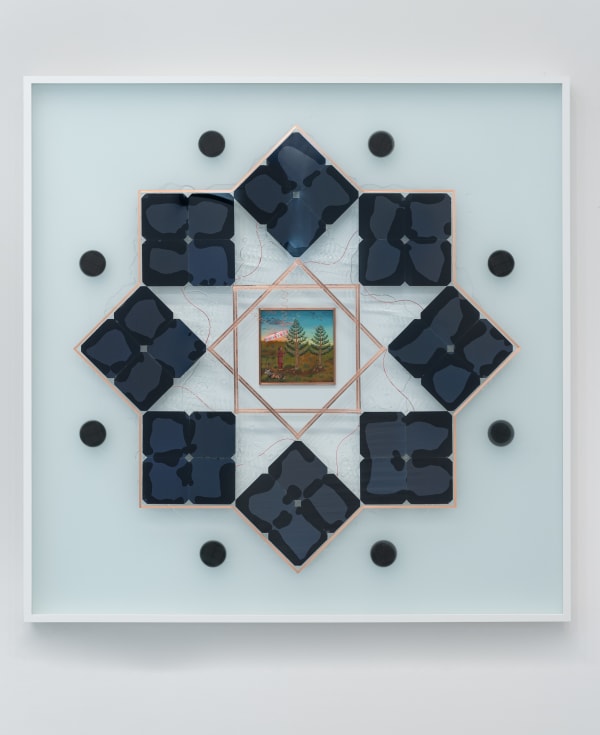 Haroon Mirza, Illuminated Amanita Harvest (Solar Cell Circuit Composition 22), 2023