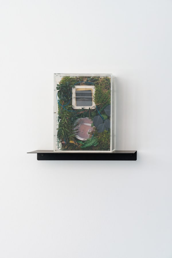 Cécile B. Evans, Prop for a Future Adaptation (microbial fuel cell prototype for giselle) II, 2021