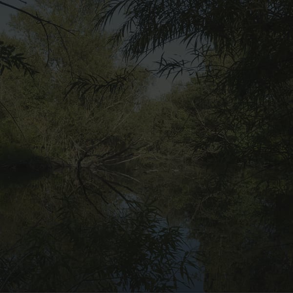 Johnny Jensen, Locus #17, 2025