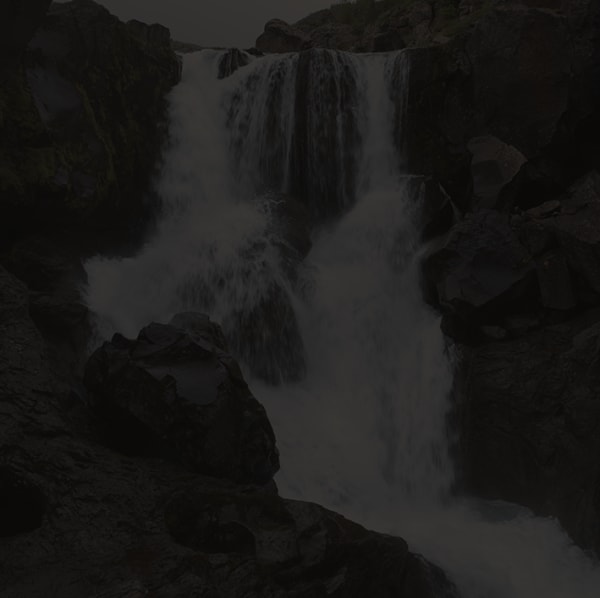 Johnny Jensen, Locus #8, 2025