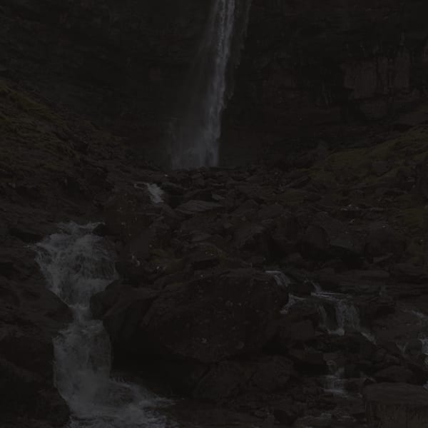 Johnny Jensen, Locus #9, 2025